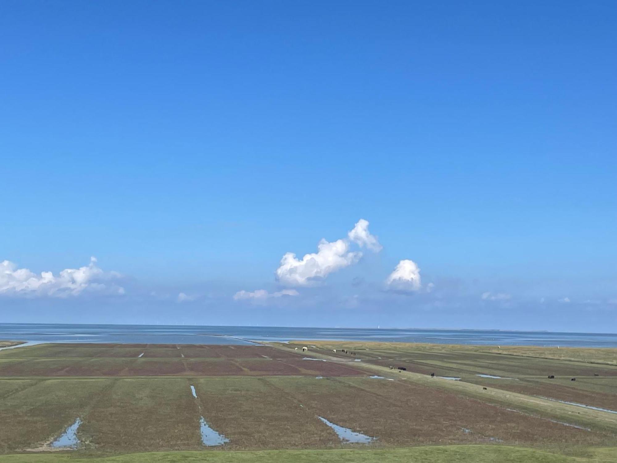De Oude Smidse Hotel Westernieland Bagian luar foto
